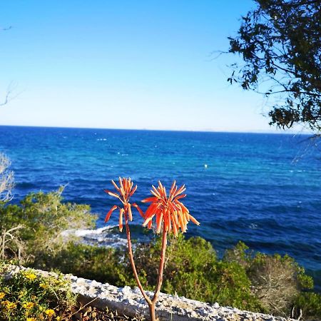 Villa La Zenia 25 Playa Flamenca Zewnętrze zdjęcie