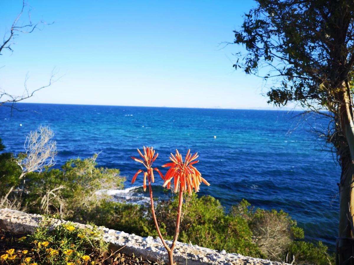 Villa La Zenia 25 Playa Flamenca Zewnętrze zdjęcie